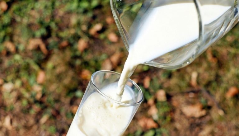 Latte e derivati, i prezzi stanno salendo in questi giorni: ecco il motivo legato ai cambiamenti climatici