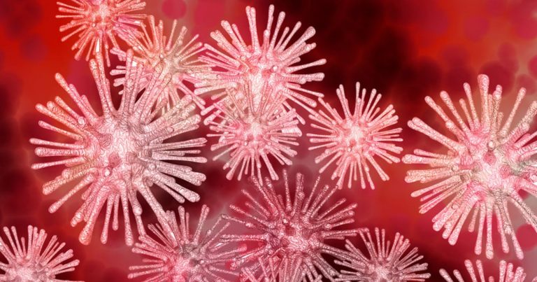 Morbillo, emergenza sanitaria mondiale? Ecco quale città rischia la catastrofe sanitaria Morbillo, emergenza sanitaria mondiale? Ecco quale città rischia la catastrofe sanitaria