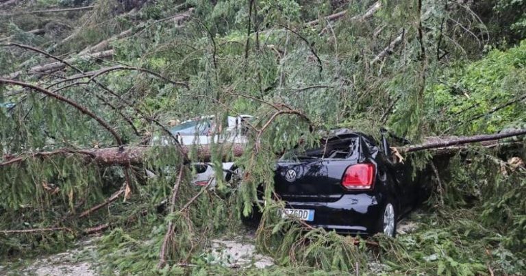 Meteo – Tromba d’aria ha provocato ingenti danni: alberi abbattuti e tetti scoperchiati tra Rho e Pregnana; il video