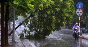 Meteo - Violento maltempo ha colpito il nord: ferita una donna a Novara, folgorato un uomo a Verona; downburst nel mantovano