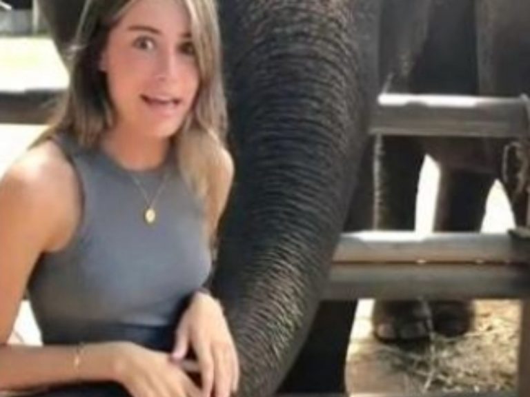 L’elefante attacca la studentessa allo zoo: ecco cosa è successo e dove – Video