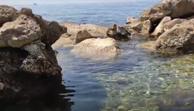 Alga tossica in mare, rischi anche se inalata. Ecco dove è stata trovata in Italia