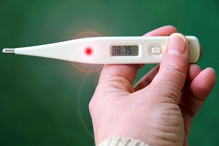 Febbre Oropouche in Italia: ecco di cosa si tratta e quali sono i sintomi