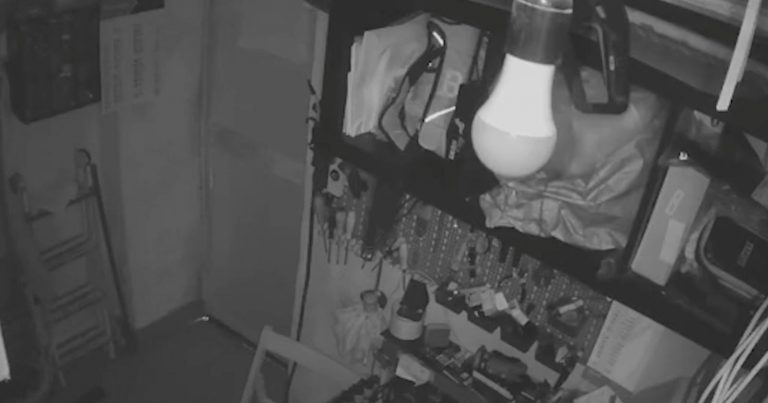 Terremoto avvertito ai Campi Flegrei: il video in diretta della scossa Terremoto avvertito ai Campi Flegrei: il video in diretta della scossa