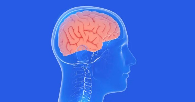 Meningite, casi in risalita in Italia: riconoscere questi sintomi può salvare la vita Meningite, casi in risalita in Italia: riconoscere questi sintomi può salvare la vita