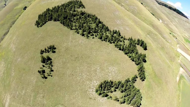 Il fantastico bosco a forma d’Italia: scoprite dove si trova