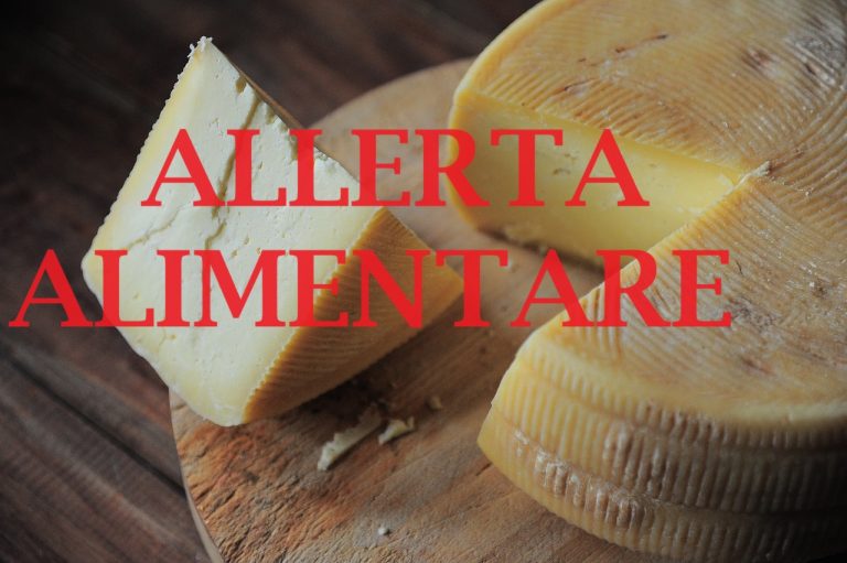 Allerta alimentare, lotto di formaggio ritirato per rischio Escherichia Coli: la nota diffusa dal Ministero della Salute