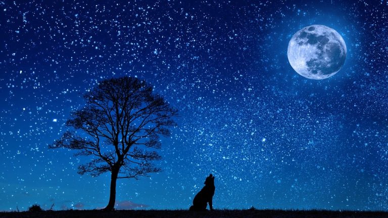 Noctalgia, ecco la grave piaga che rischia di creare un malessere comune Noctalgia, ecco la grave piaga che rischia di creare un malessere comune