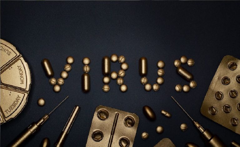 Virus B delle scimmie, come si trasmette all’uomo e quali sono i sintomi Virus B delle scimmie, come si trasmette all’uomo e quali sono i sintomi