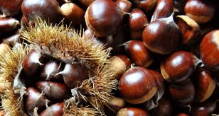 castagne