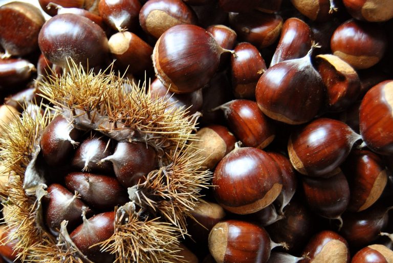 Castagne, se le mangi in questo momento della giornata corri seri rischi per la tua salute