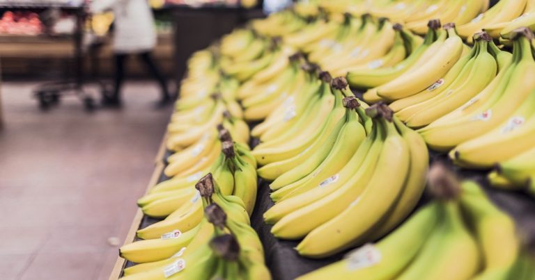 La punta della banana non va mai mangiata? La risposta del Dottor Giorgio Calabrese. Ecco le sue parole La punta della banana non va mai mangiata? La risposta del Dottor Giorgio Calabrese. Ecco le sue parole