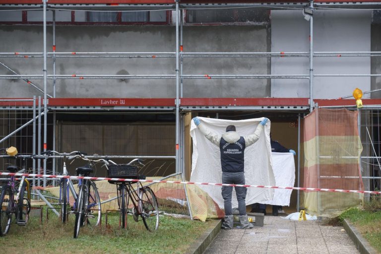 Madre si lancia dal nono piano con la figlia, la vicina ha sentito le urla della bimba: “Alla mamma…”