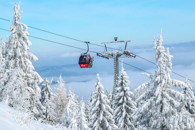 La cabinovia viene colpita da un albero e sprofonda nel vuoto, ci sono feriti: ecco dove è successo