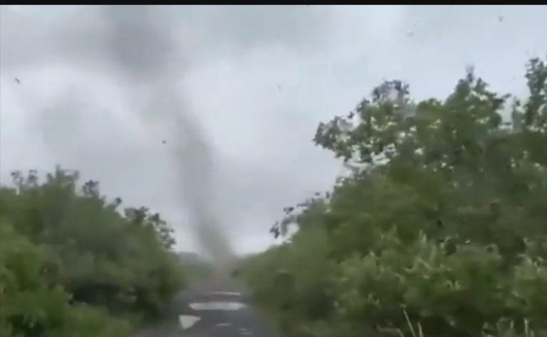 Sciame di zanzare sopra la città, i cittadini costretti a rimanere chiusi in casa: ecco dove sta accadendo