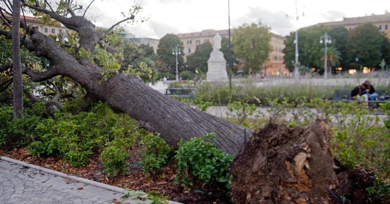 Meteo – Forte maltempo in Italia provoca danni e abbatte alberi in Umbria; sospese anche le tratte per l’isola d’Elba