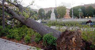 Meteo - Forte maltempo in Italia provoca danni e abbatte alberi in Umbria; sospese anche le tratte per l'isola d'Elba
