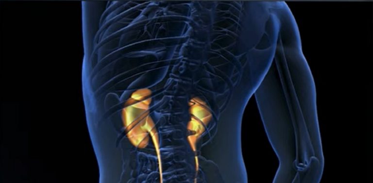 Attenzione a questi 7 sintomi: ecco come accorgersi che i tuoi reni non stanno funzionando bene. Tutti i dettagli Attenzione a questi 7 sintomi: ecco come accorgersi che i tuoi reni non stanno funzionando bene. Tutti i dettagli