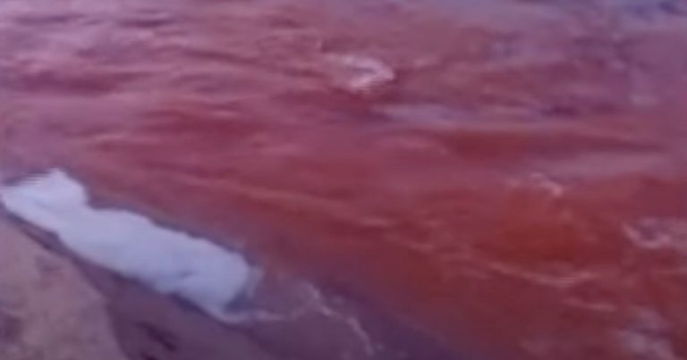 Il fiume si tinge di rosso in Italia, ecco per quale motivo. WWF: “Non è una sorpresa…”