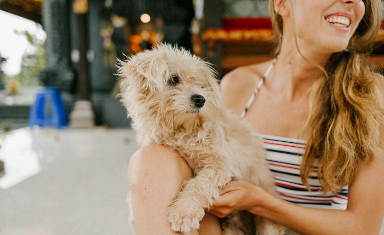 Annunciata nuova ordinanza, obbligo a partire dal 2 aprile 2024: “I proprietari dei cani dovranno…”. Ecco dove