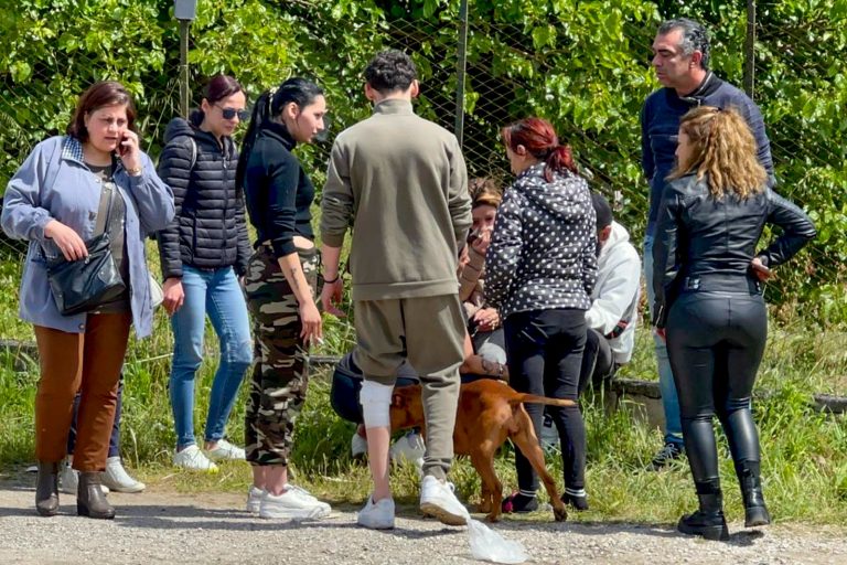 Francesco Pio ucciso dai pitbull, effettuata l’autopsia: “Letali le lesioni…”