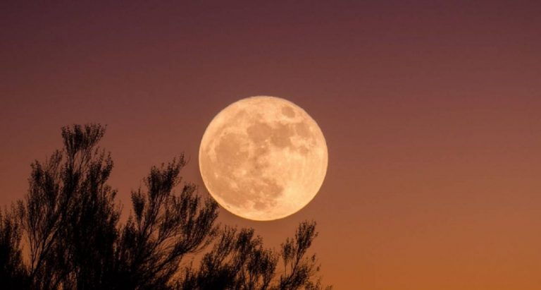 La Luna piena in Ariete del 17 ottobre 2024 porterà felicità a questi 4 segni dello Zodiaco