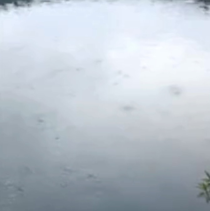 Terremoto Campi Flegrei, il lago “ribolle” dopo le forti scosse: interviene la Protezione Civile – Il Video