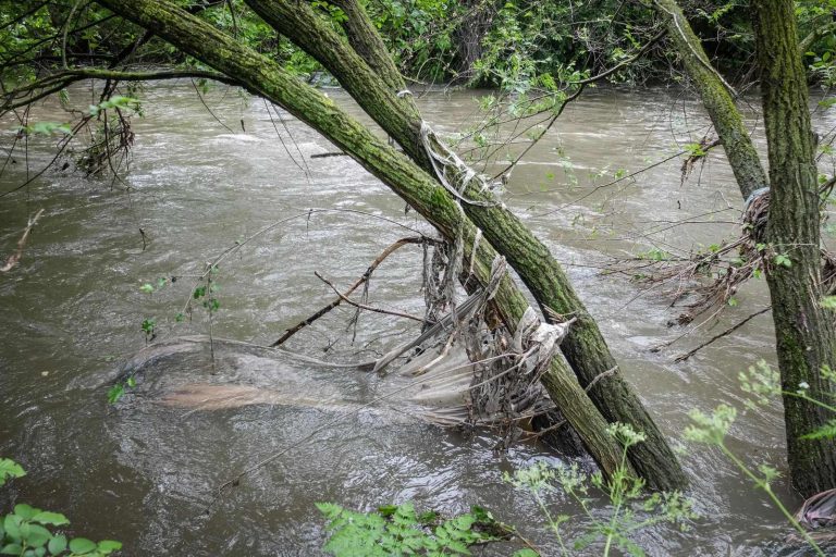 Tragedia nel fiume Lambro: “Era sparito nell’acqua…”. Ecco cos’è successo