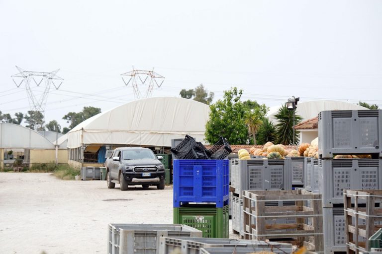 Bracciante morto, torna a parlare il titolare dell’azienda agricola: “Lo avevo avvisato, ma ha fatto di testa sua…”