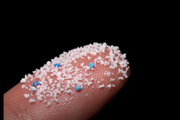 Trovate tracce di microplastiche per la prima volta negli organi genitali degli uomini: la clamorosa scoperta Trovate tracce di microplastiche per la prima volta negli organi genitali degli uomini: la clamorosa scoperta