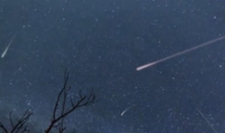 Arriva lo spettacolo delle stelle cadenti: ecco come vederle già da stasera. Tutte le info