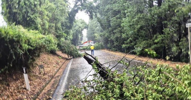 Violento nubifragio si abbatte sulla zona italiana, alberi crollati e strada statale chiusa