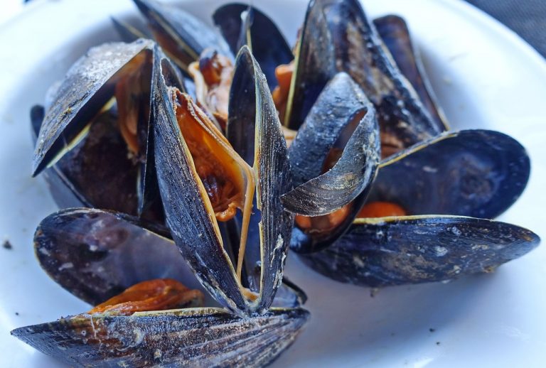 Cozze e vongole addio: se accade questo, sarà impossibile trovarle in commercio