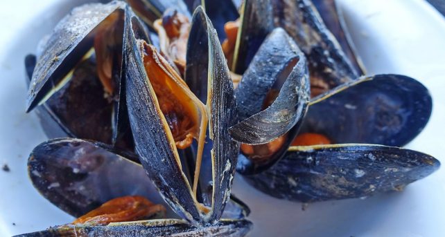 Cozze e vongole