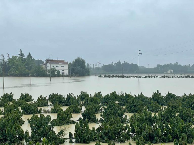 Alluvione in Emilia-Romagna: treni cancellati, circolazione sospesa su 5 linee ferroviarie. Ecco i dettagli