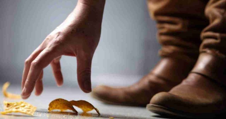 Quanto è vera la regola dei 5 secondi sul cibo caduto a terra? Ecco cosa dice la scienza Quanto è vera la regola dei 5 secondi sul cibo caduto a terra? Ecco cosa dice la scienza