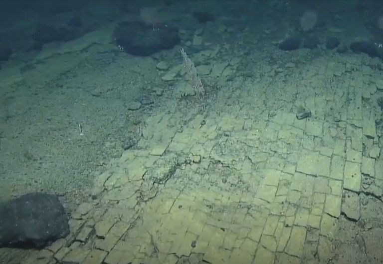 Gli scienziati hanno scoperto una “strada di mattoni gialli” sul fondo dell’oceano Pacifico