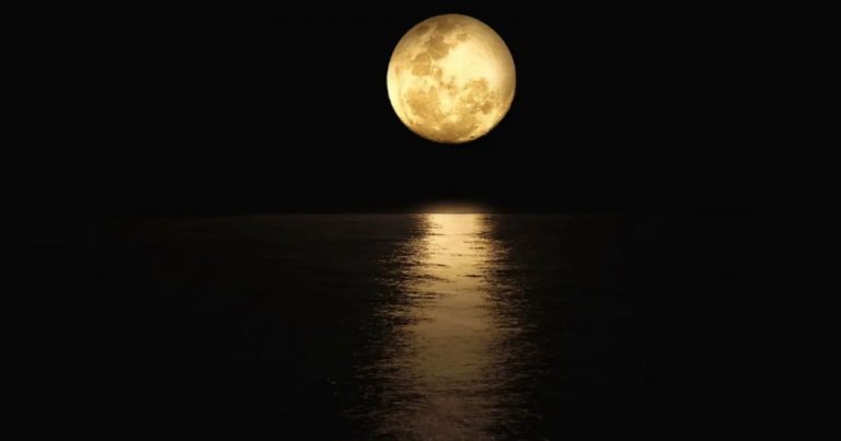 Arriva la Superluna del castoro oggi, venerdì 15 novembre 2024: orario e come vederla