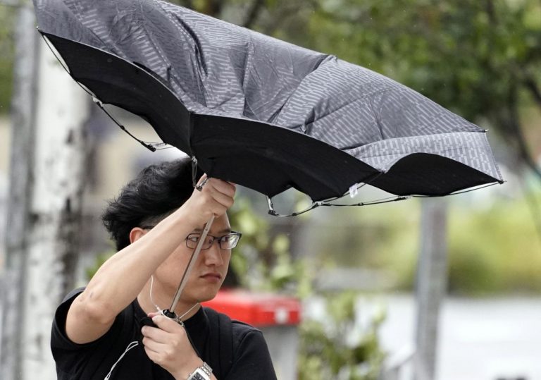 Meteo – Maltempo e violente raffiche di vento abbattono alberi a Roma, colpiti veicoli sulla Pontina: 1 ferito Meteo – Maltempo e violente raffiche di vento abbattono alberi a Roma, colpiti veicoli sulla Pontina: 1 ferito
