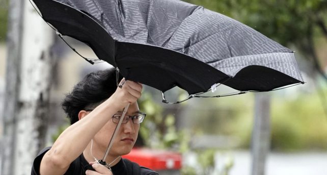 Meteo - Maltempo e violente raffiche di vento abbattono alberi a Roma, colpiti veicoli sulla Pontina: i dettagli