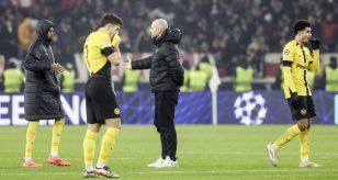 young boys champions league