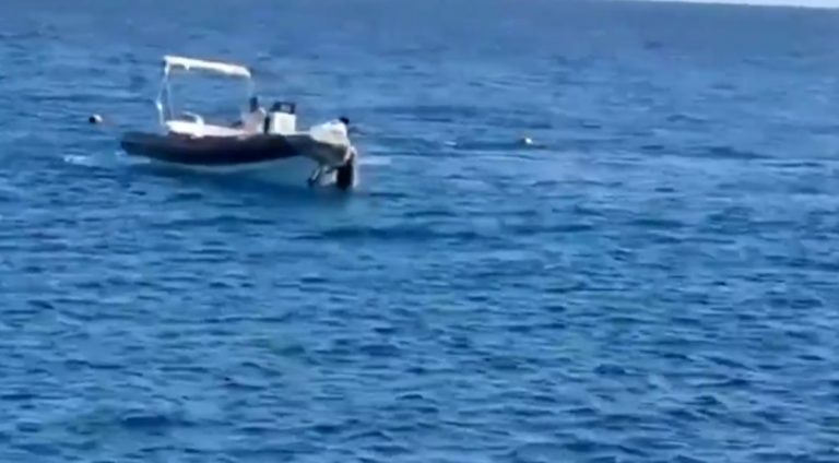 Gianluca Di Gioia ucciso dallo squalo, spunta il video del salvataggio di Giuseppe Fappani: “Nelle immagini si vedono…”