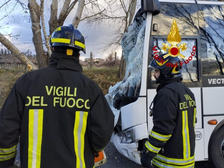 Albero cade su uno scuolabus, studenti soccorsi dai Vigili del Fuoco: ecco cosa è successo e dove