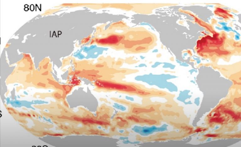 La superficie degli oceani si sta riscaldando ad una velocità quadruplicata rispetto agli anni ’80: la spiegazione degli esperti