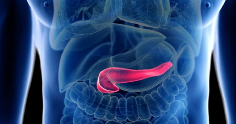 Tumore al pancreas, ecco quali sono i sintomi della malattia che aveva Eleonora Giorgi