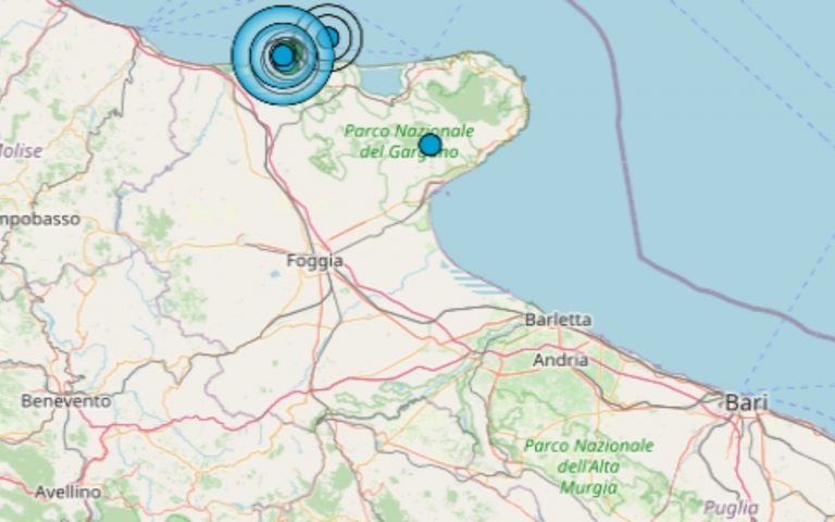 Terremoto M 4.7 in Puglia, Giovanna Amedei, presidente dell’Ordine dei geologi: “Evento distinto da Campi Flegrei…”