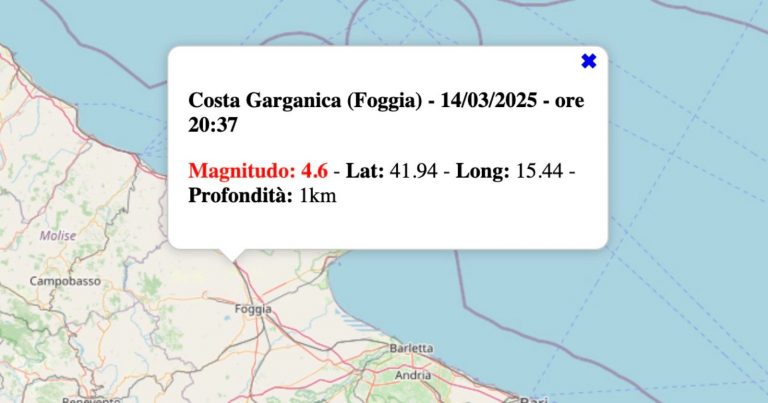 Forte terremoto M 4.7 in Puglia, la telecamera riprende la terra che trema (VIDEO)