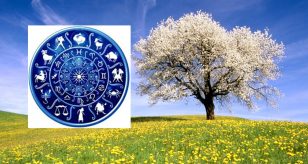 Zodiaco Aprile