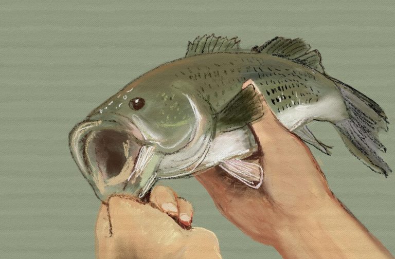 Pesce d’Aprile, ecco il significato di questa ricorrenza e come è nata questa tradizione Pesce d’Aprile, ecco il significato di questa ricorrenza e come è nata questa tradizione