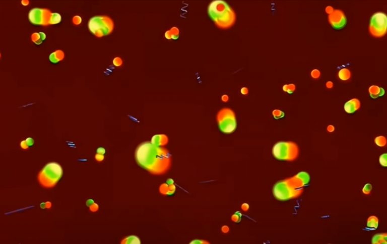 Dall’esperimento Katrin si è ottenuto un nuovo record nella misura del valore della massa del neutrino Dall’esperimento Katrin si è ottenuto un nuovo record nella misura del valore della massa del neutrino